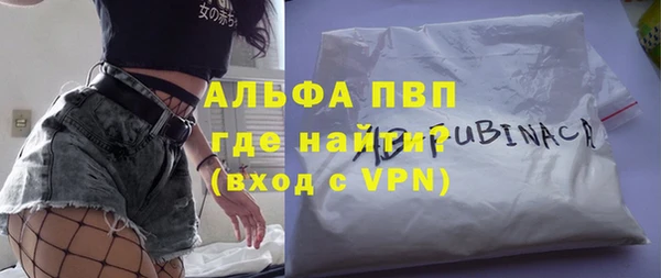 стафф Арсеньев