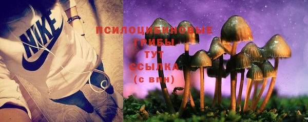 соль курить ск Аркадак