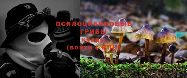 марки nbome Баксан