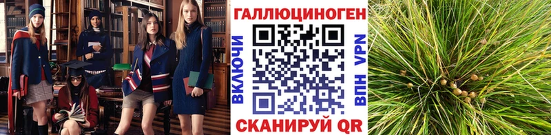 hydra ссылки  Узловая  Псилоцибиновые грибы прущие грибы 